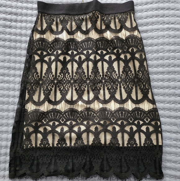 Lace skirt - Picture 1 of 2